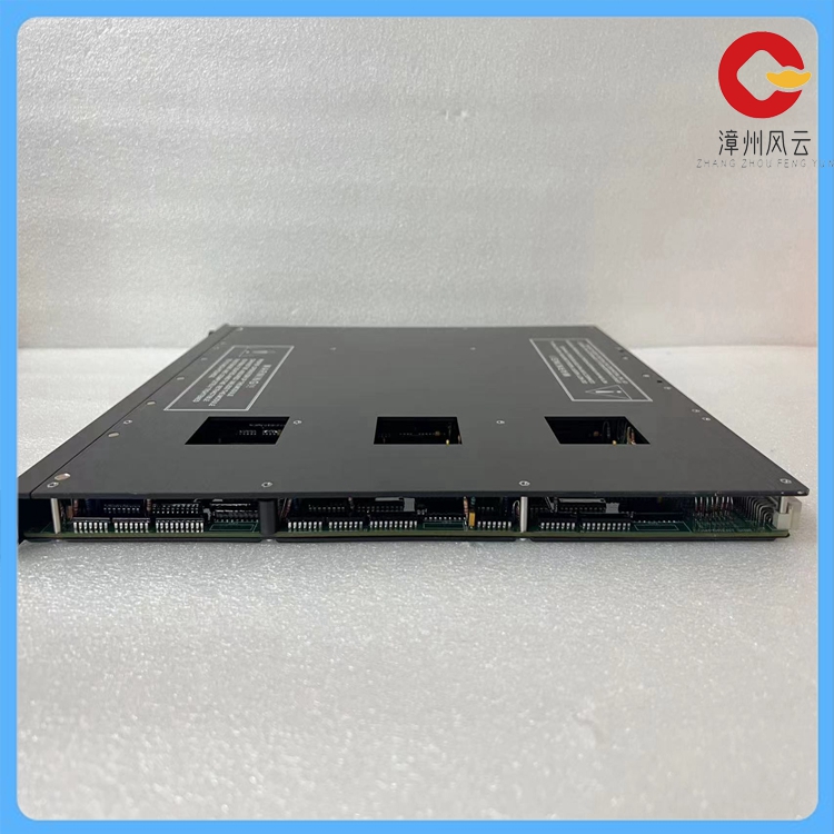TRICONEX 3511 (5).jpg