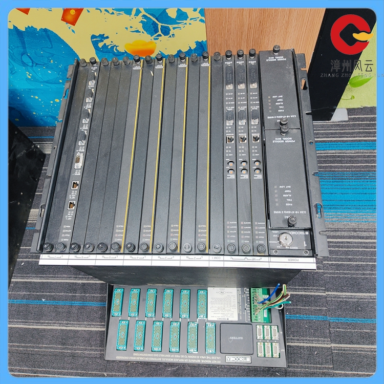 TRICONEX  8111  (1).jpg